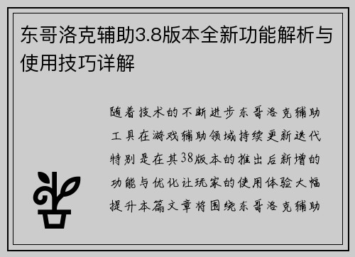 东哥洛克辅助3.8版本全新功能解析与使用技巧详解