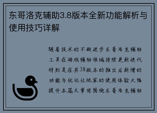 东哥洛克辅助3.8版本全新功能解析与使用技巧详解
